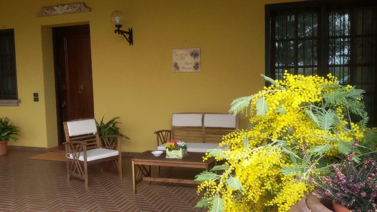 B&B La Vigna Di Federico Rubano Zewnętrze zdjęcie