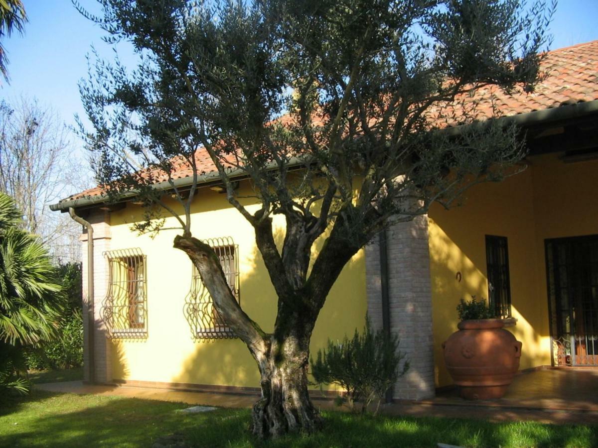 B&B La Vigna Di Federico Rubano Zewnętrze zdjęcie