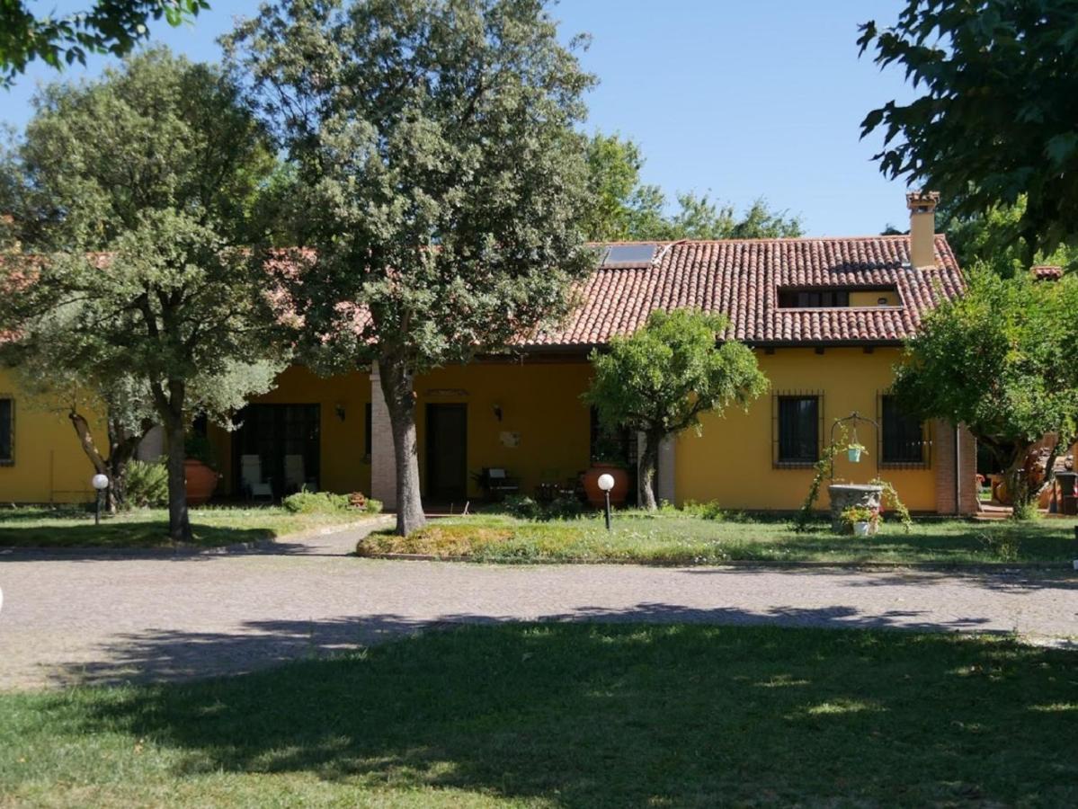B&B La Vigna Di Federico Rubano Pokój zdjęcie