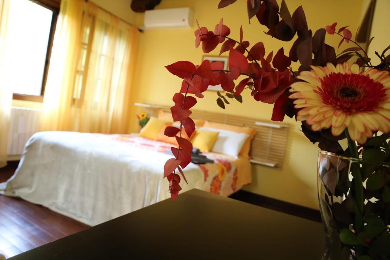 B&B La Vigna Di Federico Rubano Zewnętrze zdjęcie